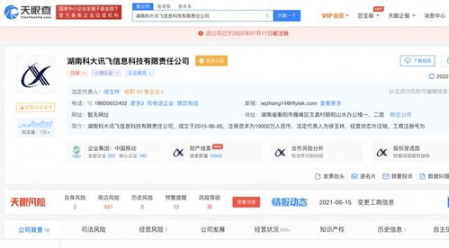 湖南科大訊飛信息科技有限責任公司注銷，軟件開發領域引發行業關注